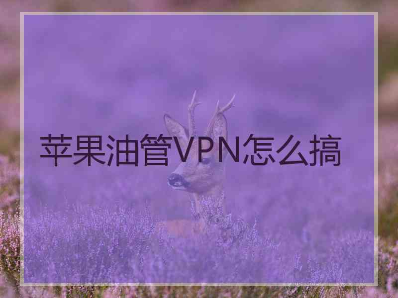 苹果油管VPN怎么搞