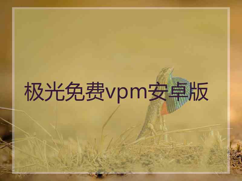 极光免费vpm安卓版