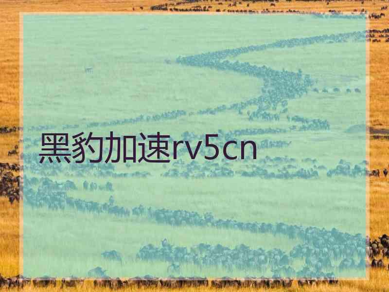 黑豹加速rv5cn