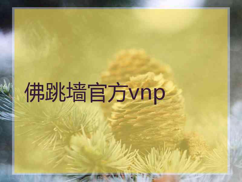 佛跳墙官方vnp