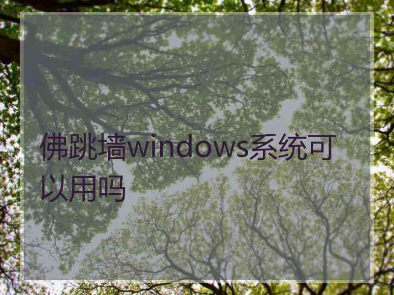 佛跳墙windows系统可以用吗