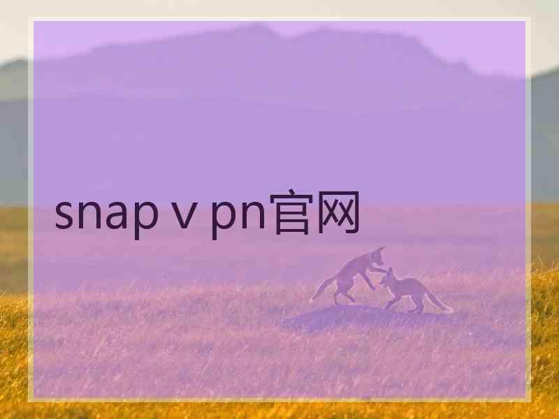 snapⅴpn官网