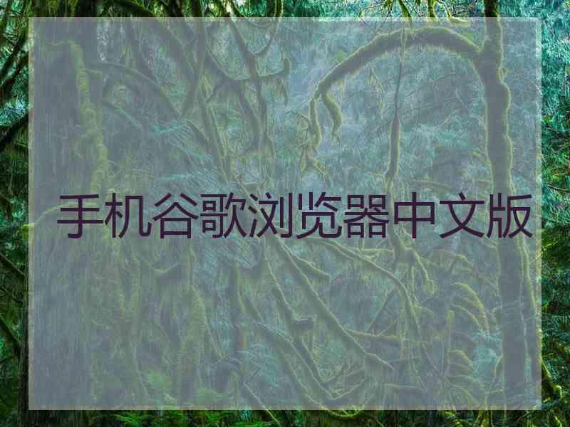 手机谷歌浏览器中文版