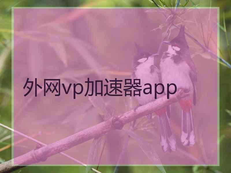 外网vp加速器app