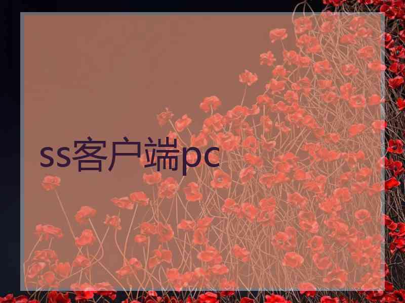 ss客户端pc