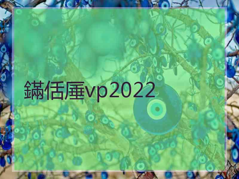 鏋佸厜vp2022