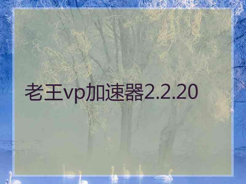 老王vp加速器2.2.20