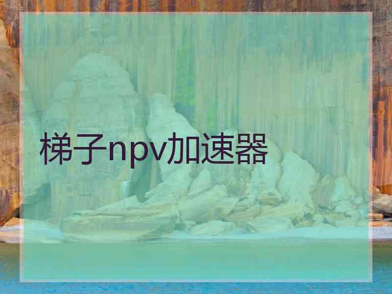 梯子npv加速器