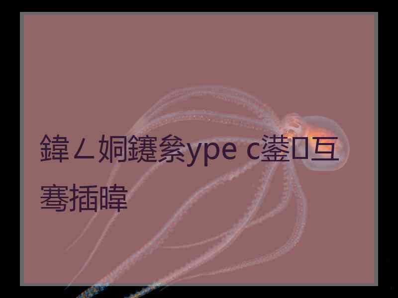 鍏ㄥ姛鑳絫ype c鍙互骞插暐