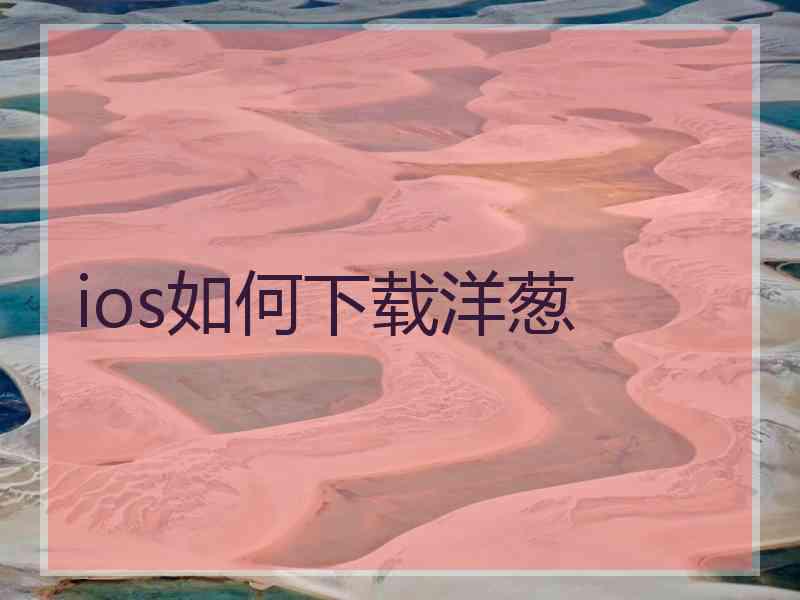 ios如何下载洋葱