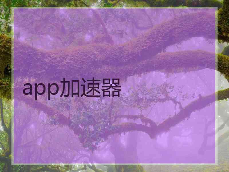 app加速器