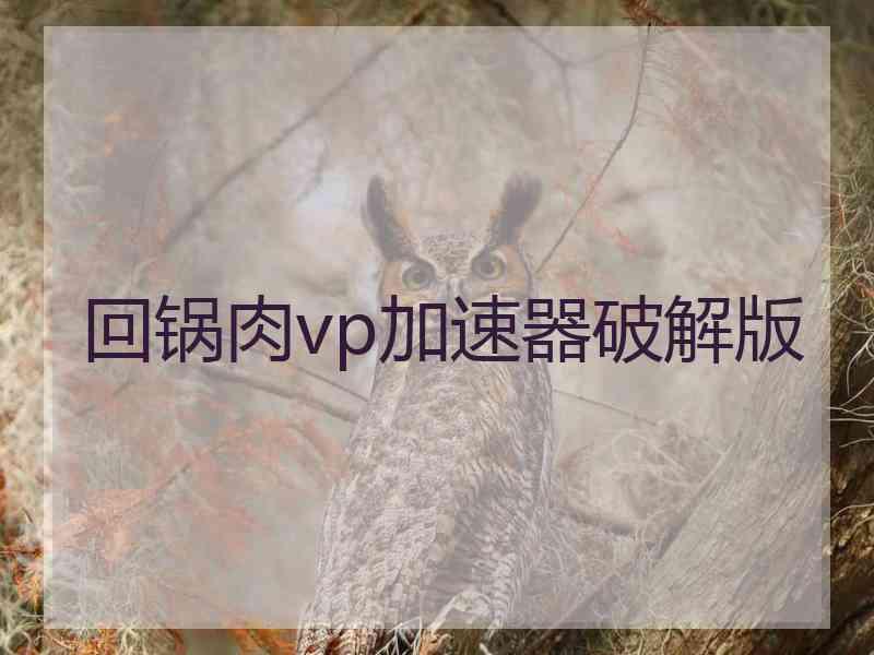 回锅肉vp加速器破解版