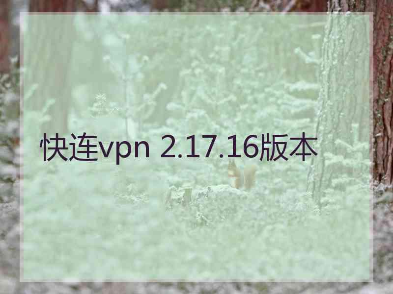 快连vpn 2.17.16版本