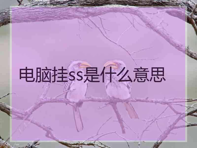 电脑挂ss是什么意思