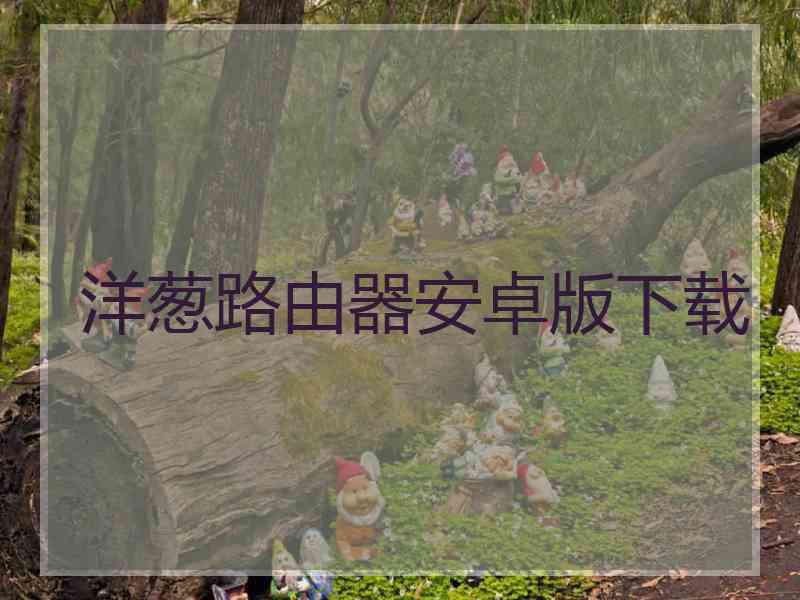 洋葱路由器安卓版下载