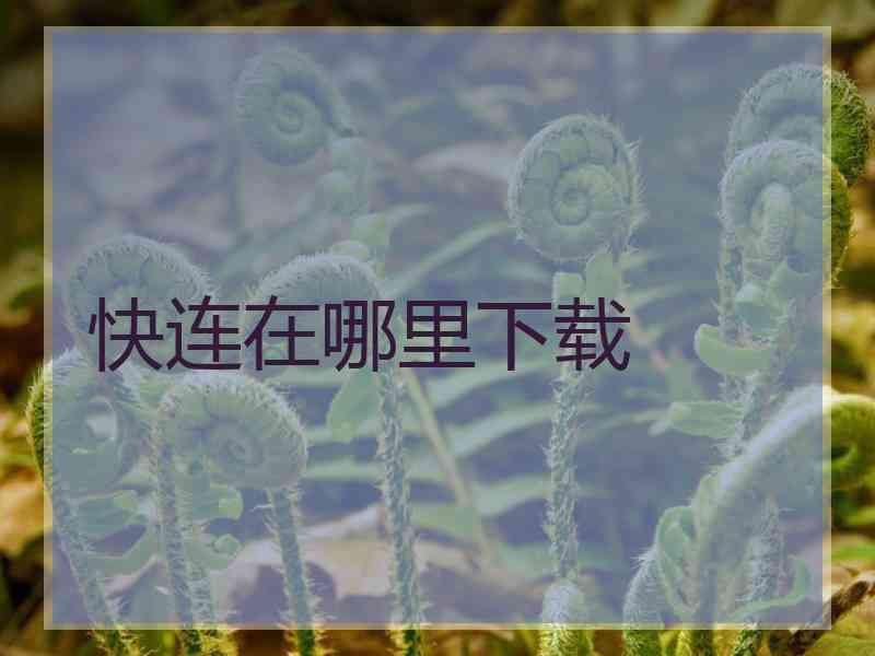 快连在哪里下载