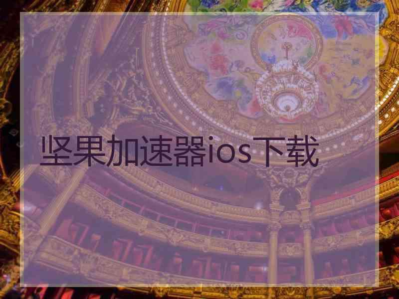 坚果加速器ios下载