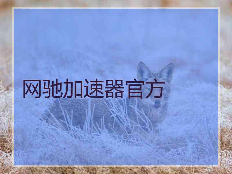 网驰加速器官方