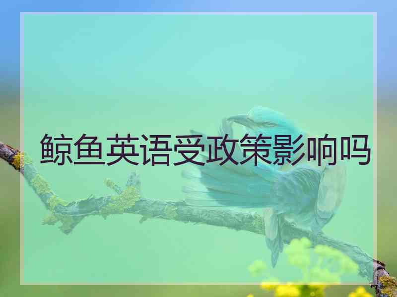 鲸鱼英语受政策影响吗