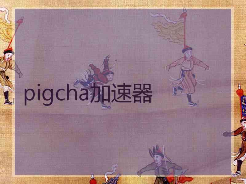 pigcha加速器